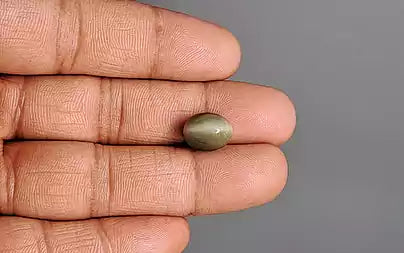 Cats Eye (Lehsunia) - 6.47 Carats