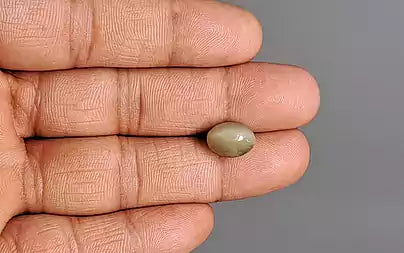 Cats Eye (Lehsunia) - 5.91 Carats