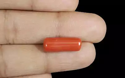 Red Coral (Moonga) - 8.06 Carats