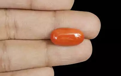 Red Coral (Moonga) - 7.48 Carats