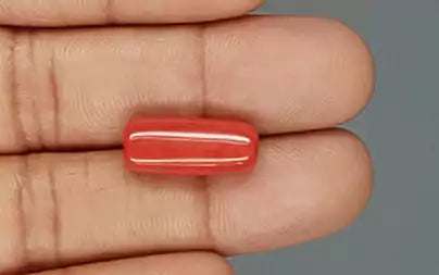 Red Coral (Moonga) - 9.57 Carats