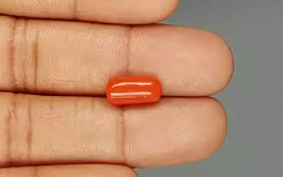 Red Coral (Moonga) - 3.69 Carats
