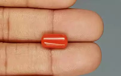 Red Coral - 3.69 Carats (Moonga - 4.02 Ratti)