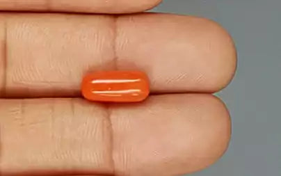Red Coral (Moonga) - 3.96 Carats