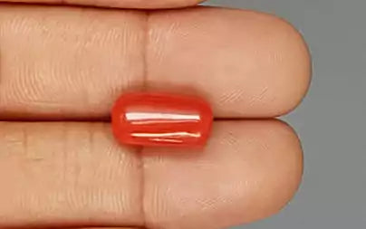 Red Coral (Moonga) - 6.11 Carats
