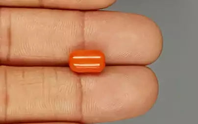 Red Coral (Moonga) - 3.82 Carats