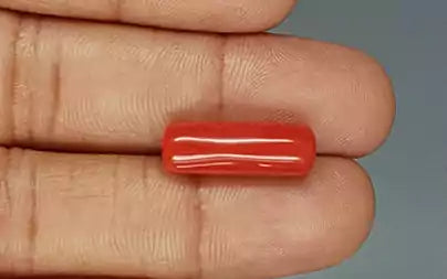 Red Coral (Moonga) - 8.99 Carats
