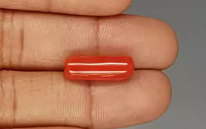 Red Coral (Moonga) - 8.93 Carats
