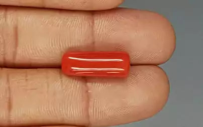 Red Coral - 8.24 Carats (Moonga - 8.98 Ratti)