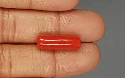 Red Coral (Moonga) - 9.65 Carats