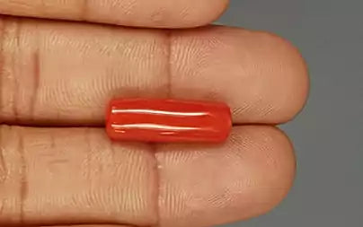 Red Coral (Moonga) - 8.34 Carats