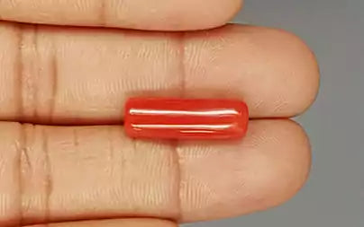 Red Coral (Moonga) - 7.66 Carats