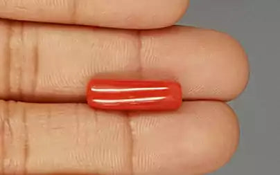 Red Coral (Moonga) - 6.93 Carats