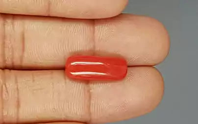 Red Coral (Moonga) - 6.12 Carats