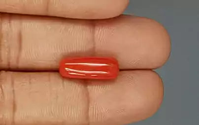 Red Coral - 6.50 Carats (Moonga - 7.09 Ratti)