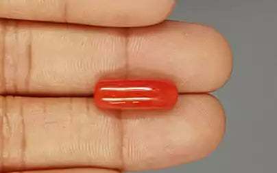 Red Coral (Moonga) - 7.90 Carats