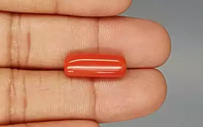 Red Coral (Moonga) - 8.03 Carats