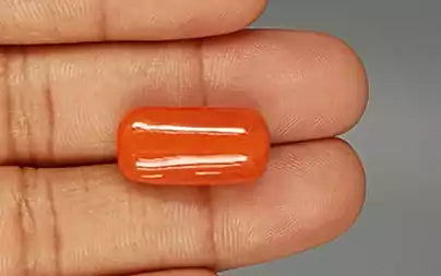 Red Coral (Moonga) - 18.28 Carats