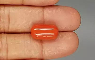 Red Coral (Moonga) - 10.18 Carats