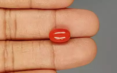 Red Coral - 4.26 Carats (Moonga - 4.64 Ratti)