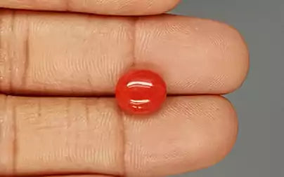 Red Coral - 3.97 Carats (Moonga - 4.33 Ratti)