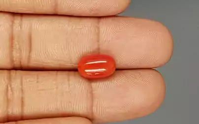 Red Coral - 3.94 Carats (Moonga - 4.29 Ratti)