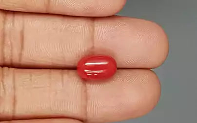 Red Coral (Moonga) - 4.75 Carats