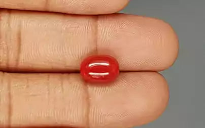 Red Coral - 4.15 Carats (Moonga - 4.52 Ratti)