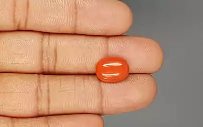 Red Coral (Moonga) - 4.40 Carats