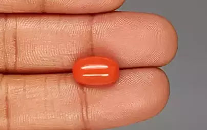 Red Coral (Moonga) - 5.65 Carats