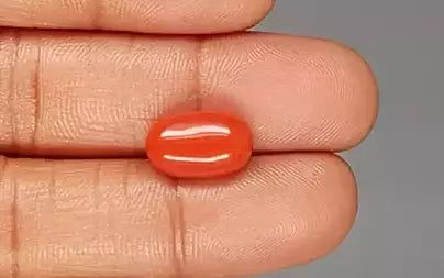 Red Coral (Moonga) - 5.97 Carats