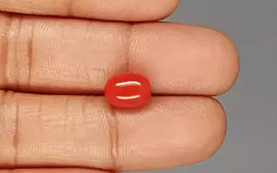 Red Coral (Moonga) - 3.88 Carats
