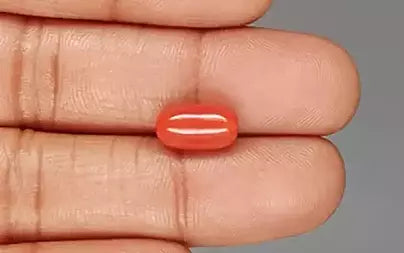 Red Coral (Moonga) - 4.15 Carats