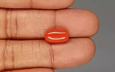 Red Coral (Moonga) - 4.56 Carats