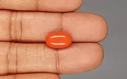Red Coral (Moonga) - 5.17 Carats