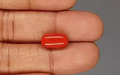 Red Coral (Moonga) - 5.09 Carats