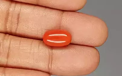 Red Coral (Moonga) - 5.78 Carats