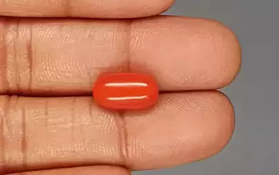 Red Coral (Moonga) - 5.79 Carats