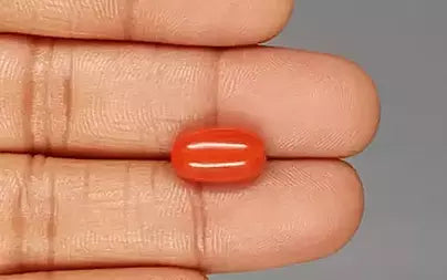 Red Coral (Moonga) - 5.96 Carats