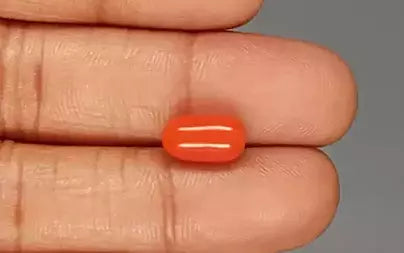 Red Coral (Moonga) - 4.17 Carats