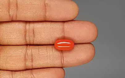 Red Coral (Moonga) - 5.70 Carats