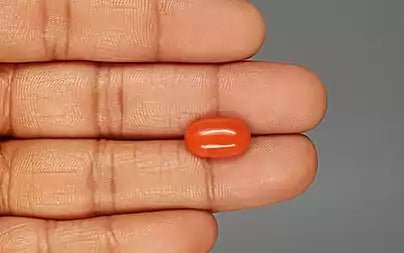 Red Coral (Moonga) - 5.28 Carats