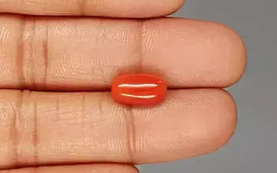 Red Coral (Moonga) - 4.07 Carats