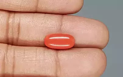 Red Coral (Moonga) - 5.68 Carats