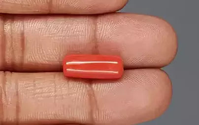 Red Coral (Moonga) - 7.04 Carats
