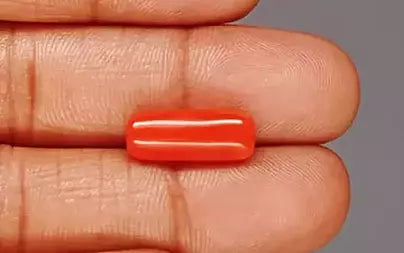 Red Coral (Moonga) - 6.53 Carats