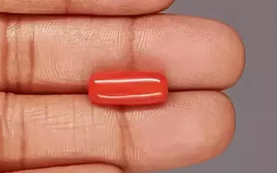 Red Coral (Moonga) - 6.47 Carats