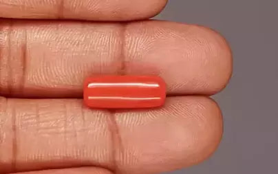 Red Coral (Moonga) - 6.21 Carats