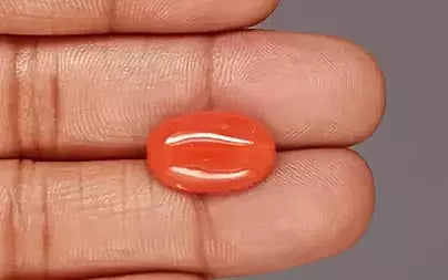 Red Coral - 7.02 Carats (Moonga - 7.65 Ratti)