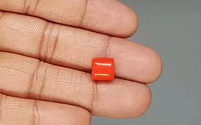 Red Coral (Moonga) - 5.53 Carats